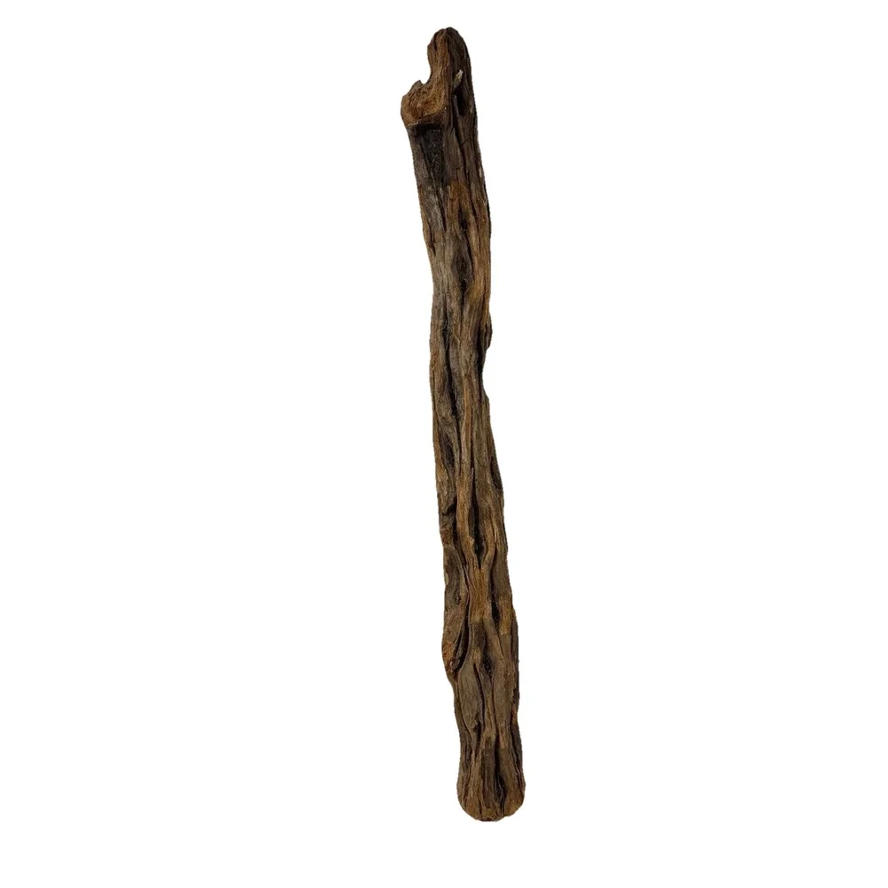 Tall California Driftwood Stick with Deep Grain & Natural Curves – Coastal Decor